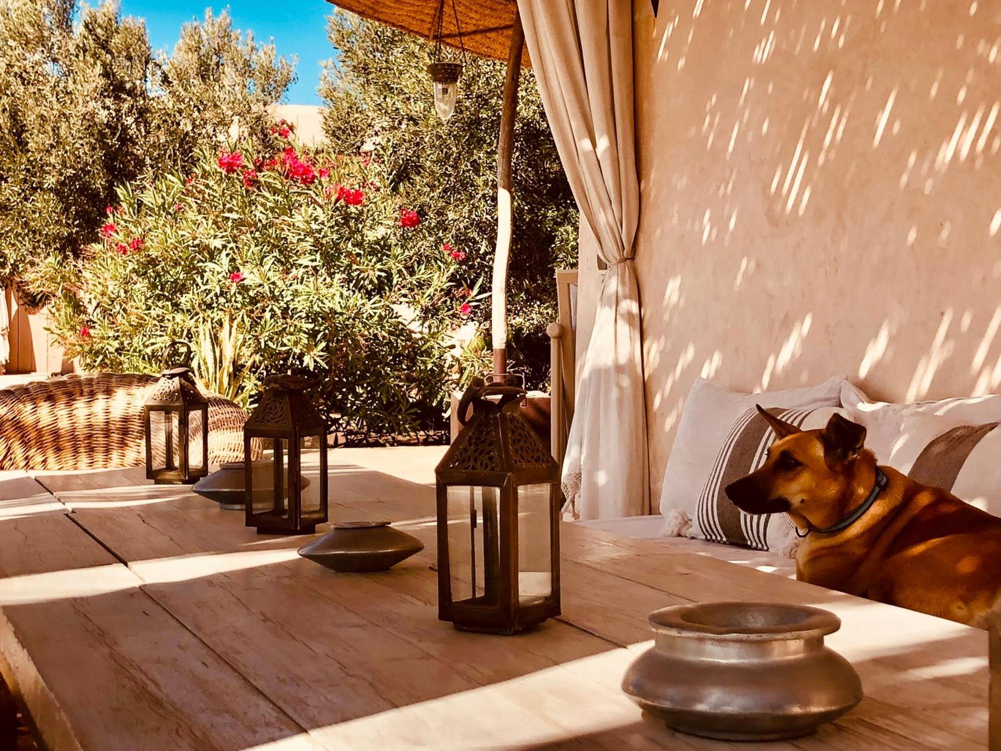 Dar Alya Essaouira Maison Et Table D'Hotes Al Ghar المظهر الخارجي الصورة
