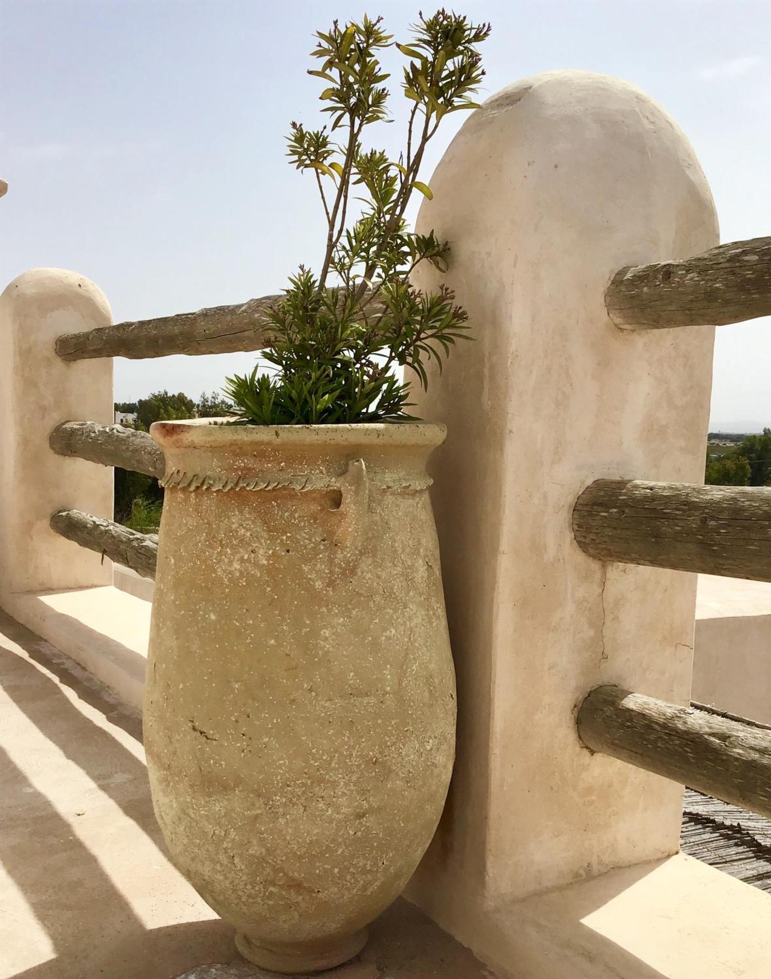 Dar Alya Essaouira Maison Et Table D'Hotes Al Ghar المظهر الخارجي الصورة
